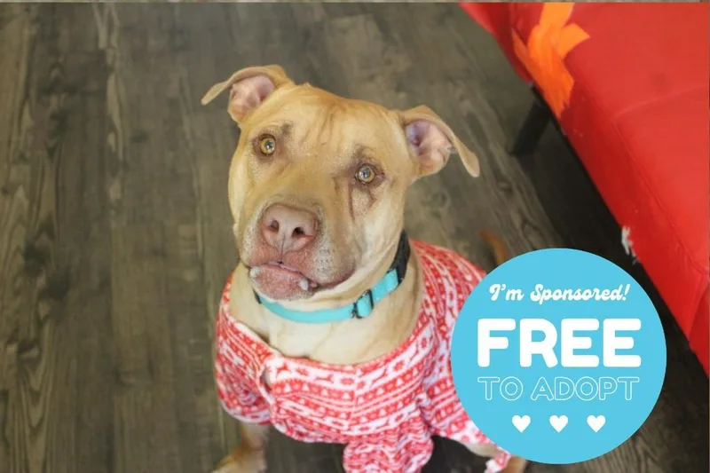 Caldwell thumbnail 3