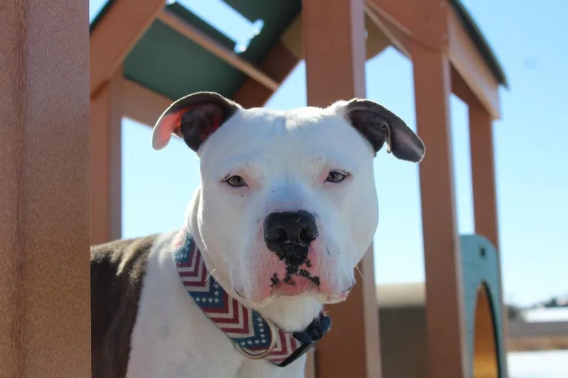 Rocky Road thumbnail 2