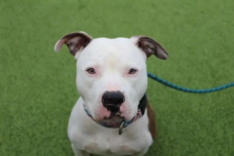 Rocky Road thumbnail 3