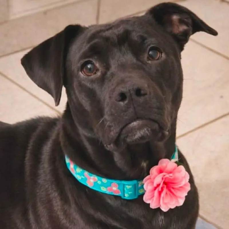 Luna Vartenian thumbnail 2