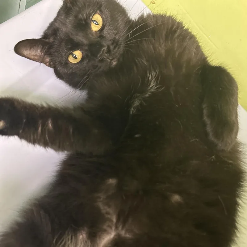 Radiohead thumbnail 2