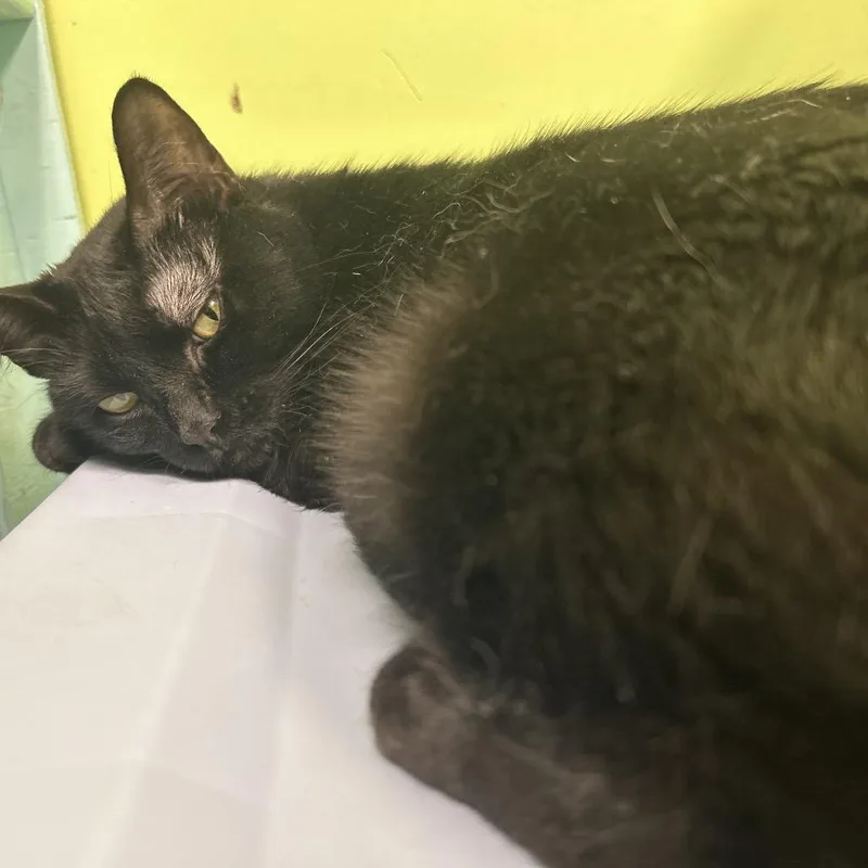 Radiohead thumbnail 3