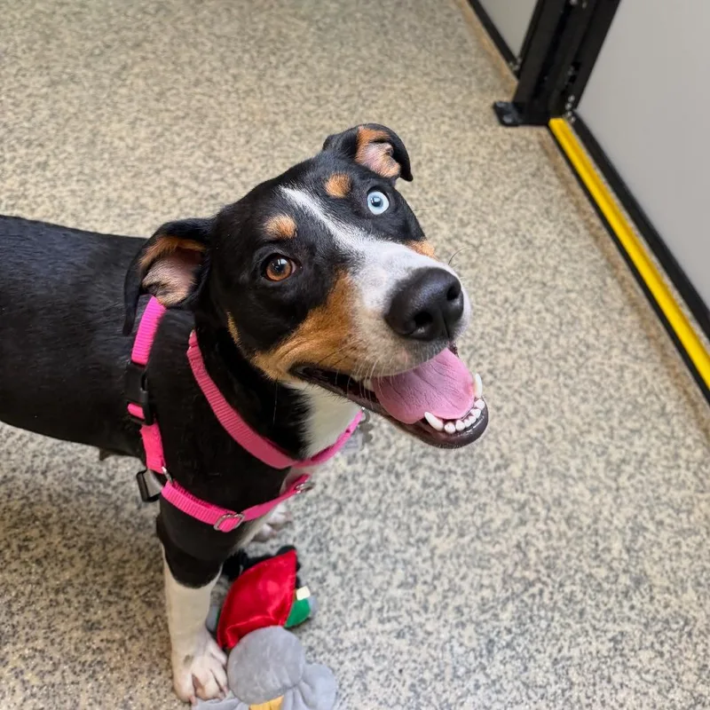 Lucy Jane thumbnail 2