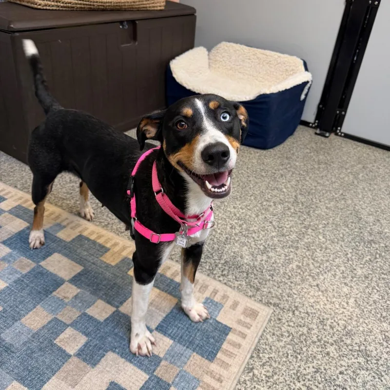 Lucy Jane thumbnail 3