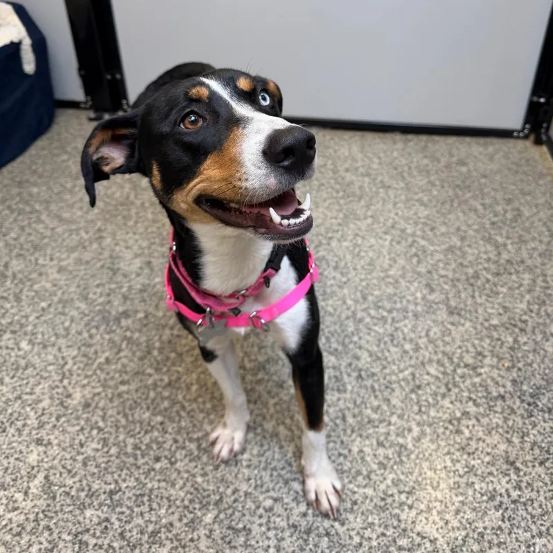 Lucy Jane thumbnail 4