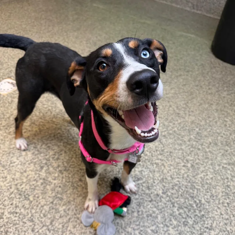 Lucy Jane thumbnail 5