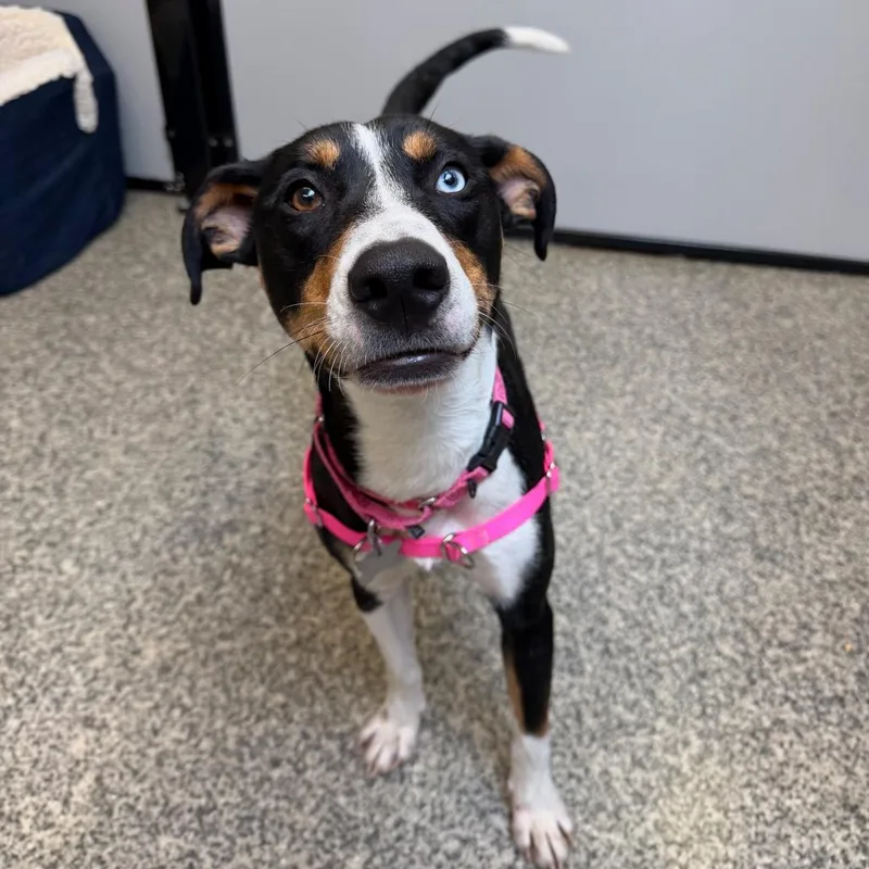 Lucy Jane thumbnail 6