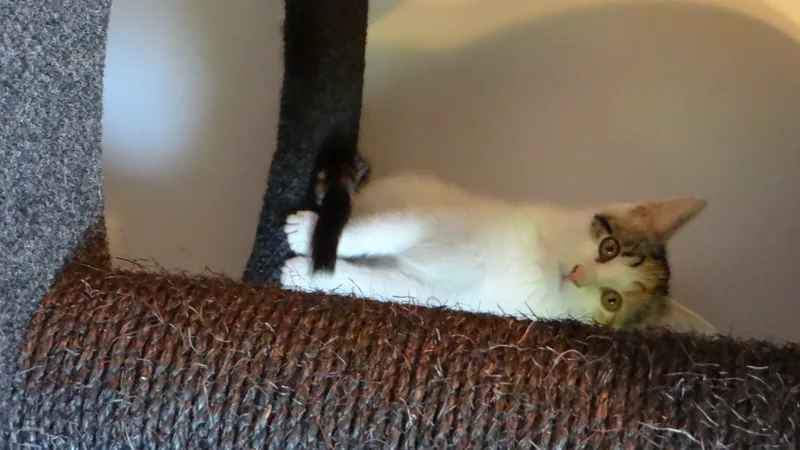 Mary And Anne thumbnail 2