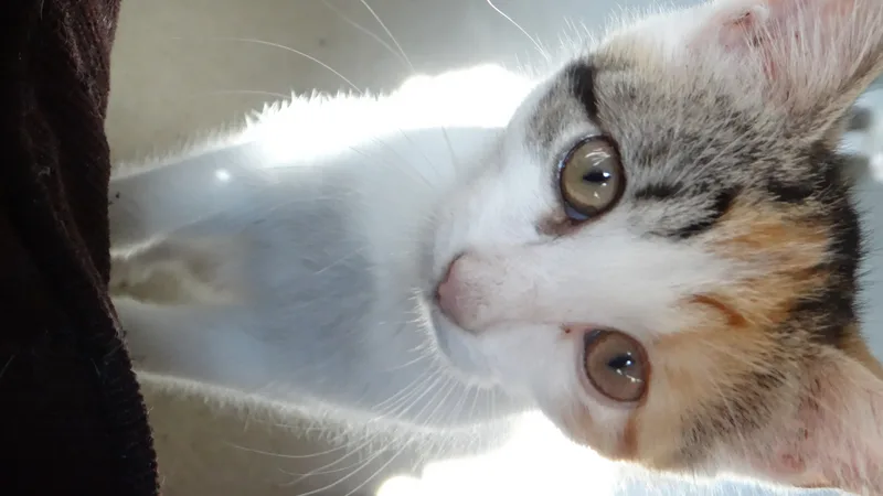 Mary And Anne thumbnail 3