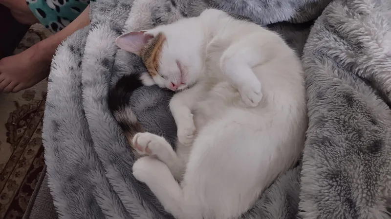 Mary And Anne thumbnail 4