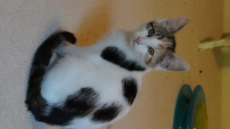 Mary And Anne thumbnail 5