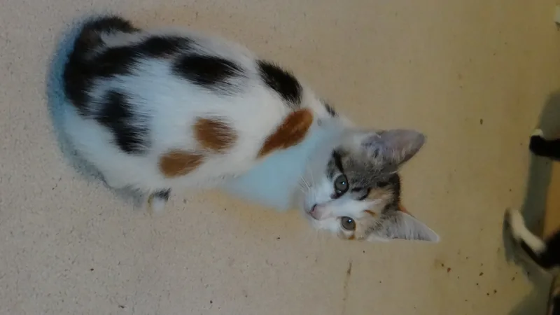 Mary And Anne thumbnail 6