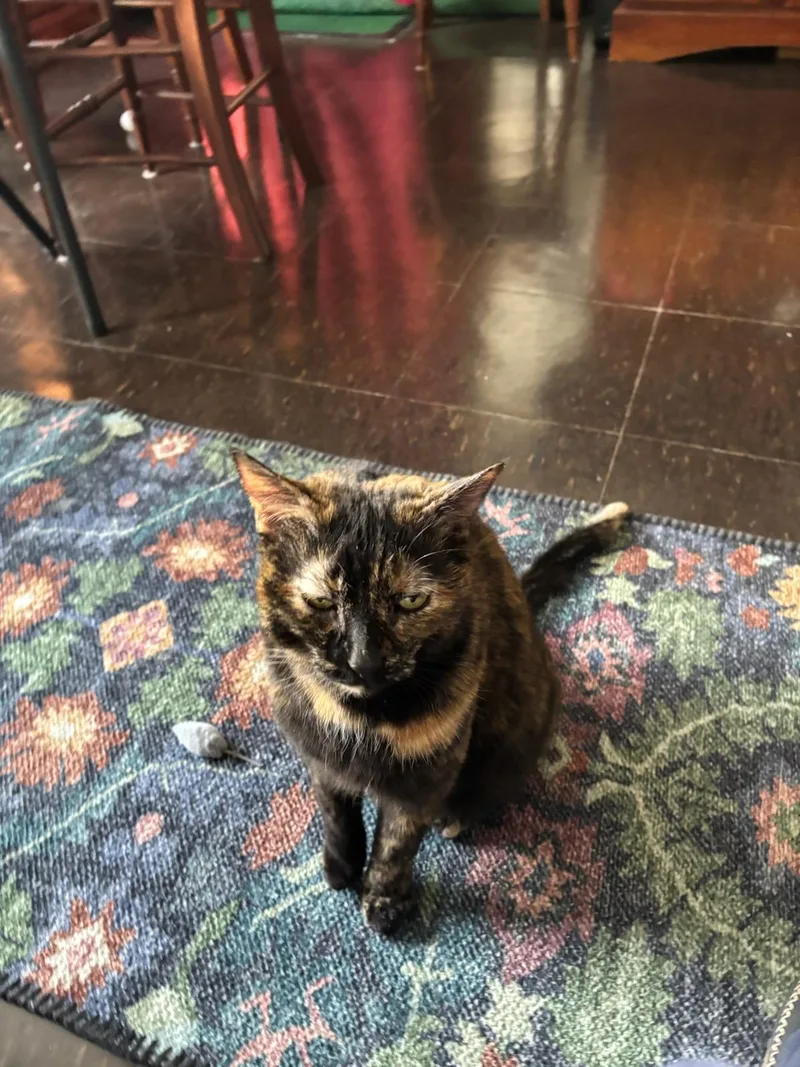 Goldilocks thumbnail 2