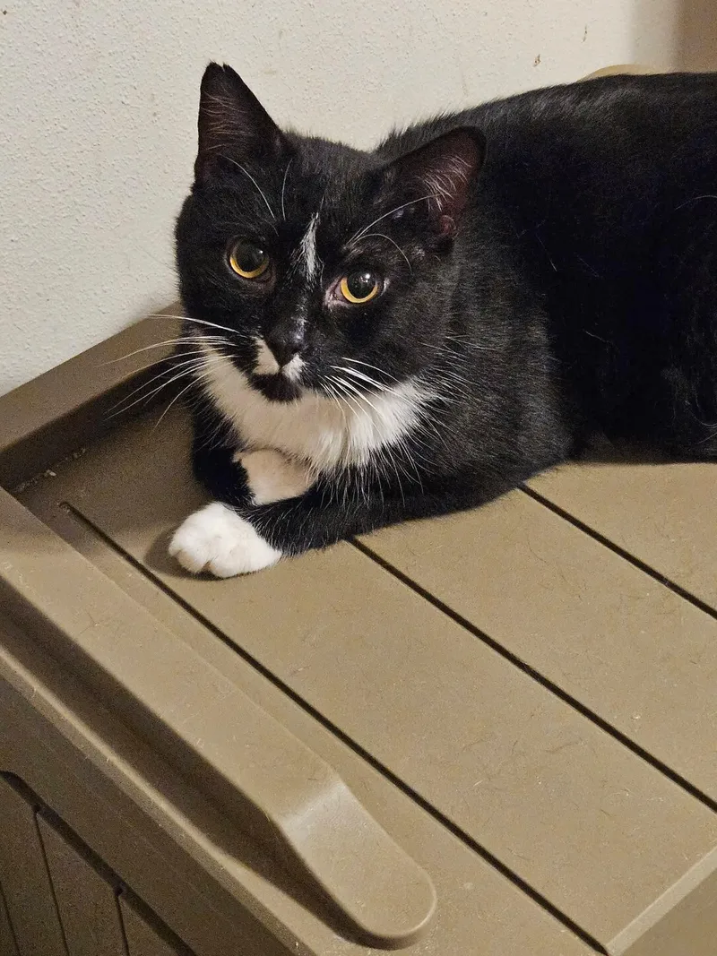 Cranberry thumbnail 5