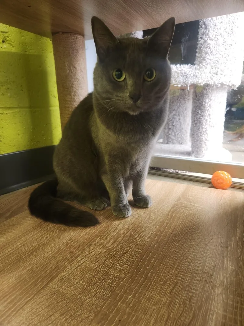 Tatiana  A Quiet thumbnail 3