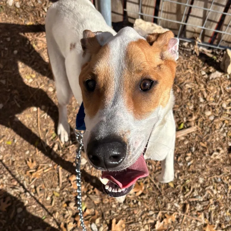 Diego Jr. thumbnail 2