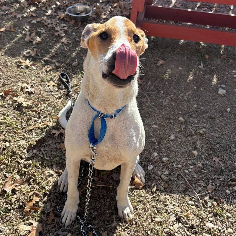 Diego Jr. thumbnail 5