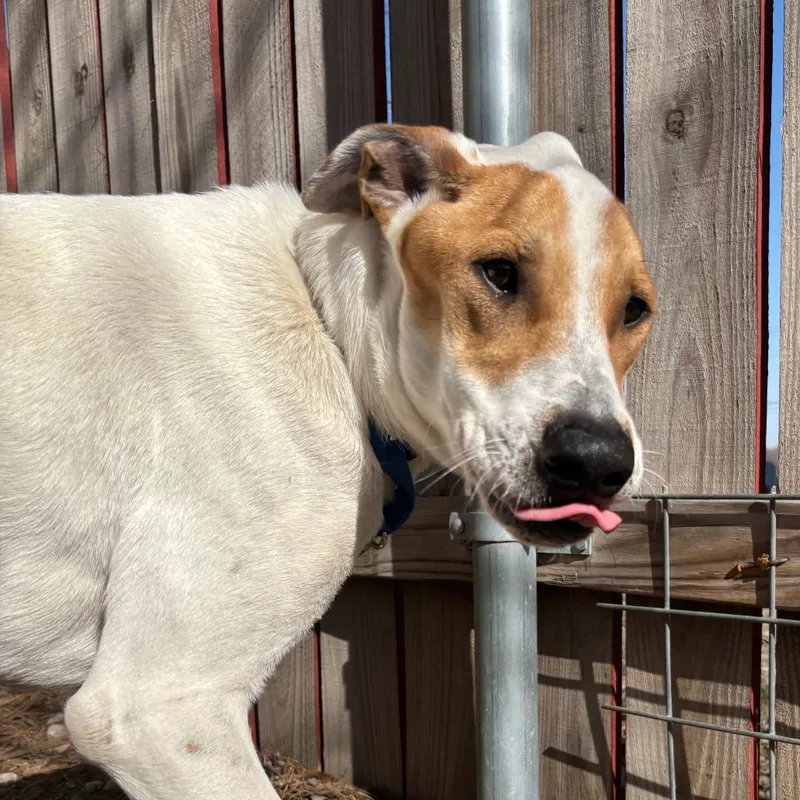 Diego Jr. thumbnail 6