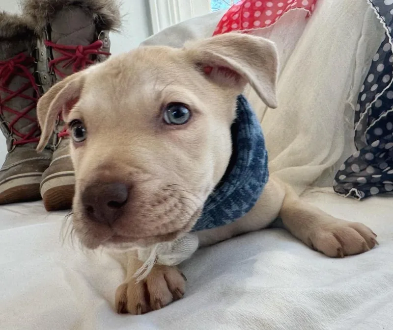 Brett B Baby  thumbnail 5