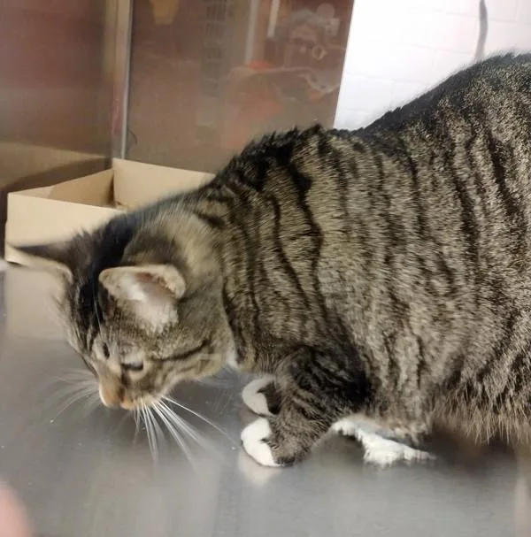 Madeline thumbnail 3