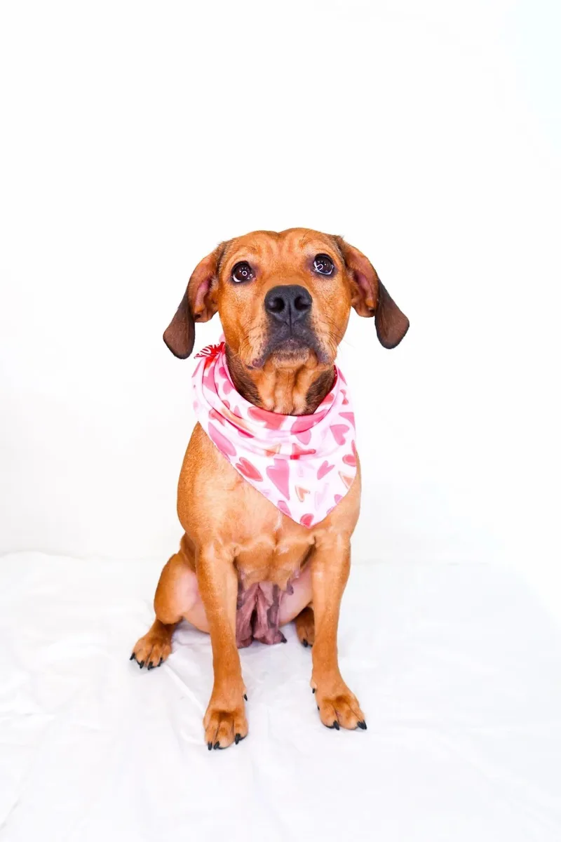 Molly Weasley thumbnail 2