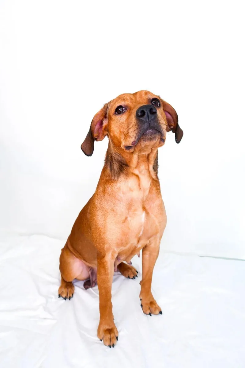 Molly Weasley thumbnail 3