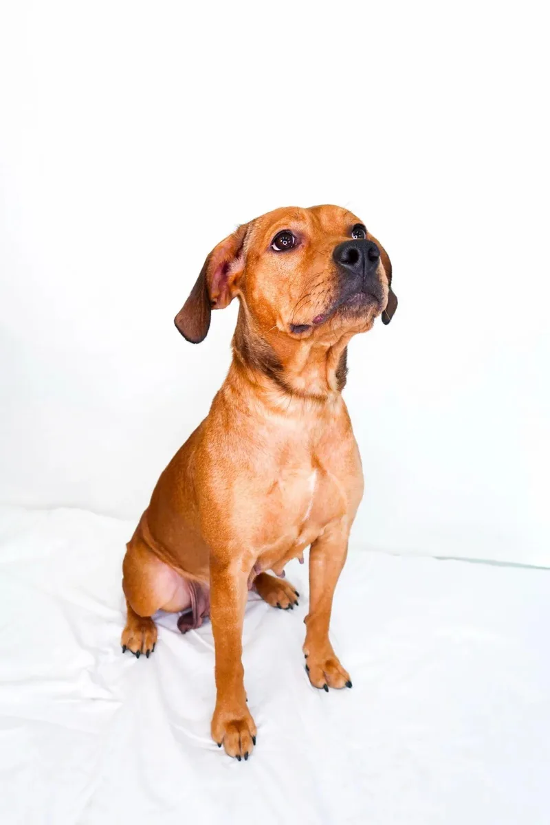 Molly Weasley thumbnail 5