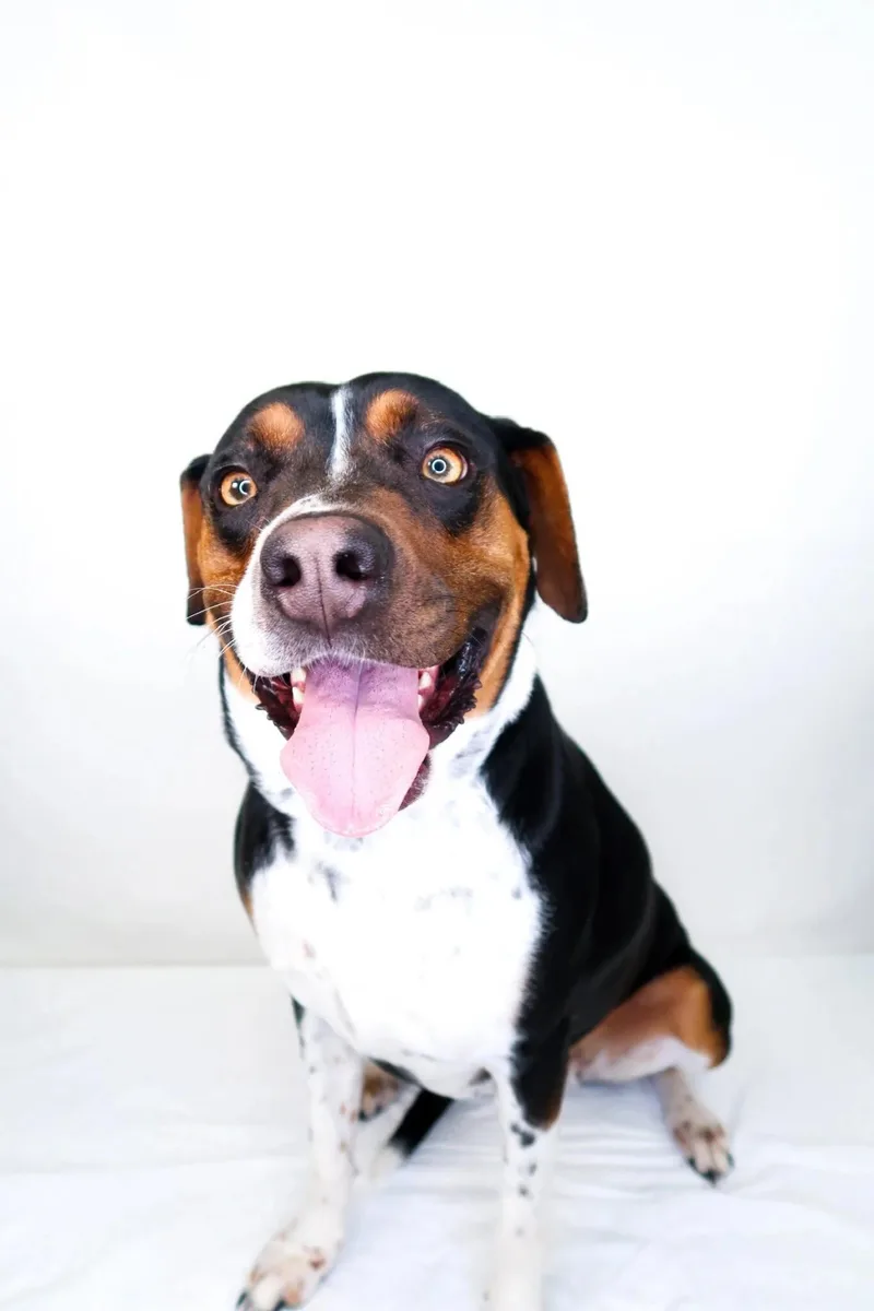 Big Mama thumbnail 3