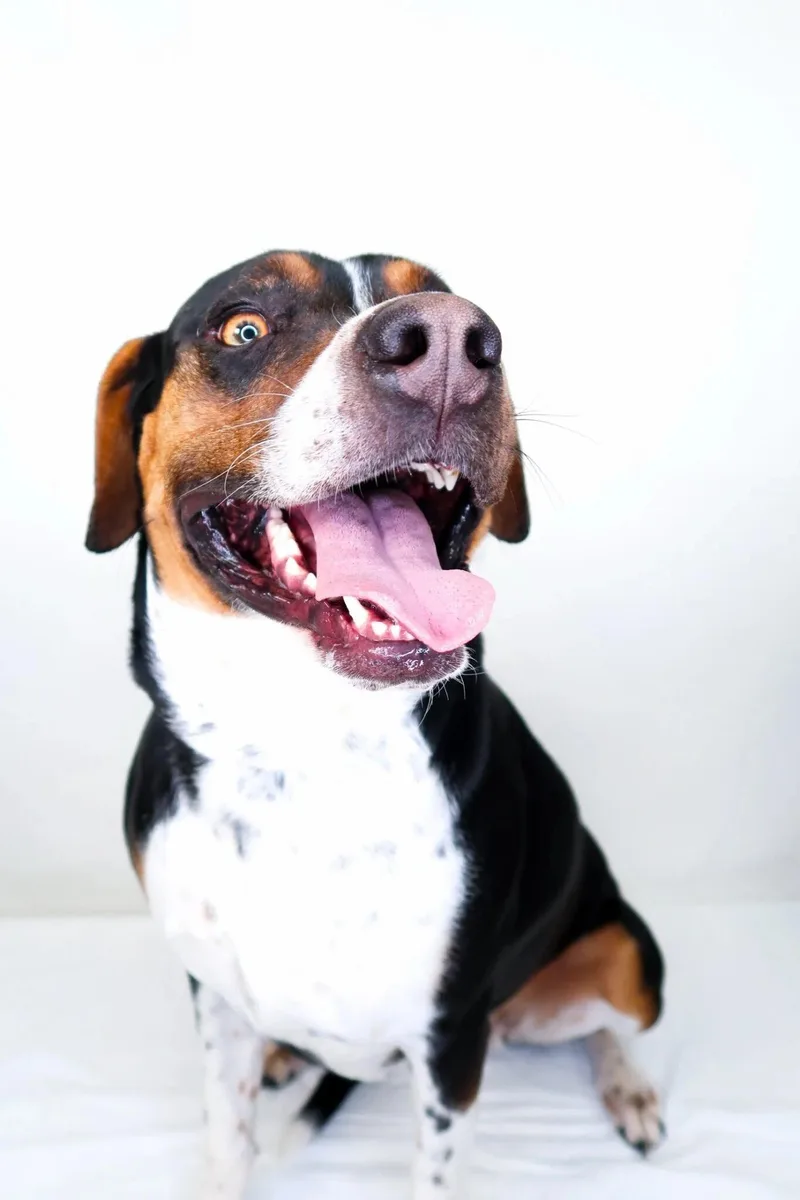 Big Mama thumbnail 5