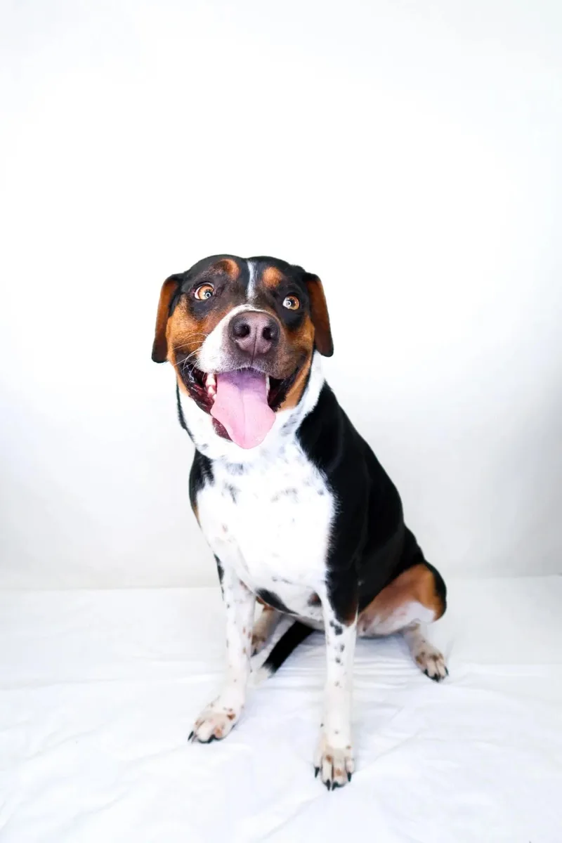 Big Mama thumbnail 6