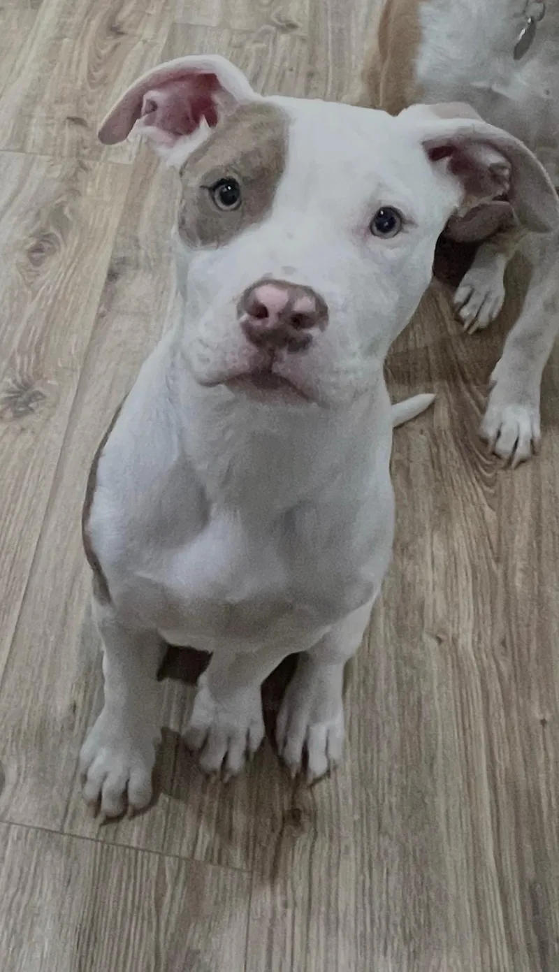 Freckles thumbnail 2