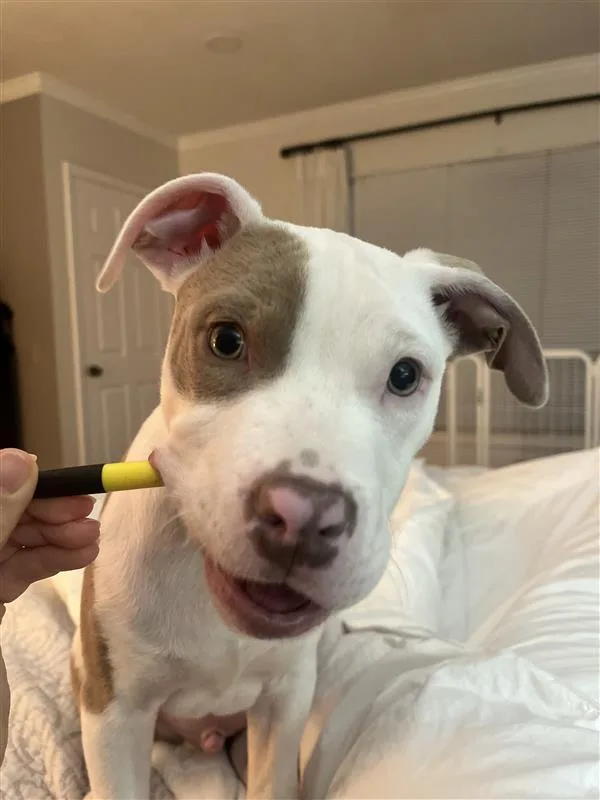 Freckles thumbnail 3