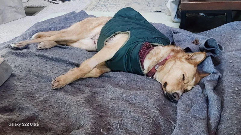 Francine thumbnail 2