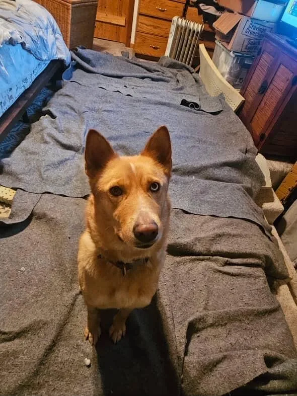 Francine thumbnail 3