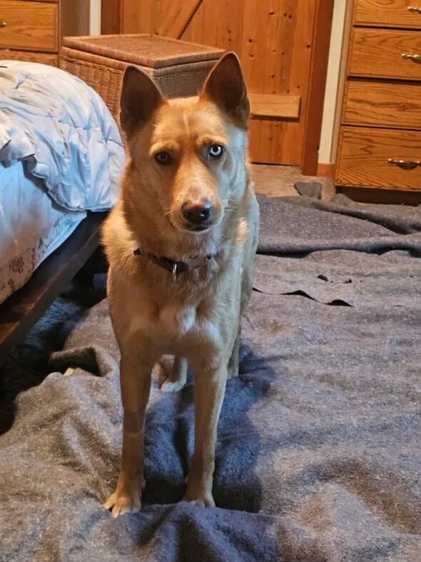 Francine thumbnail 4