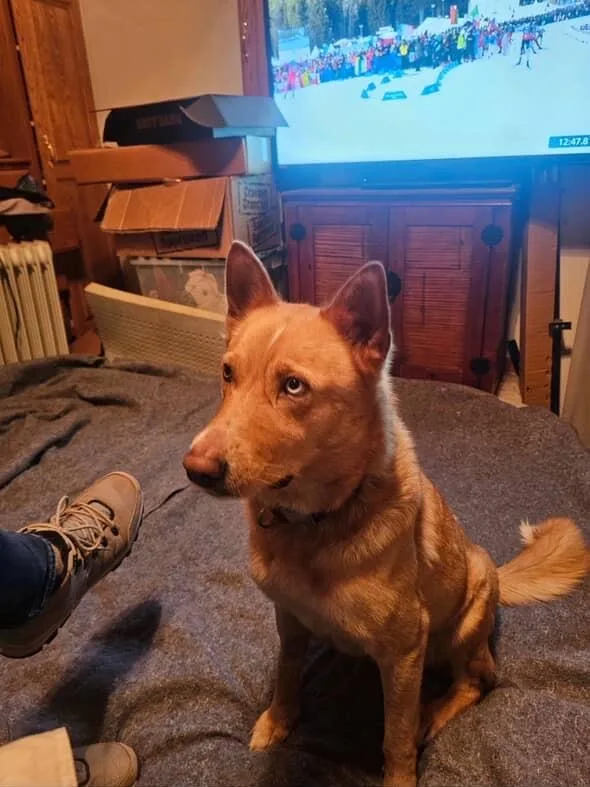 Francine thumbnail 5