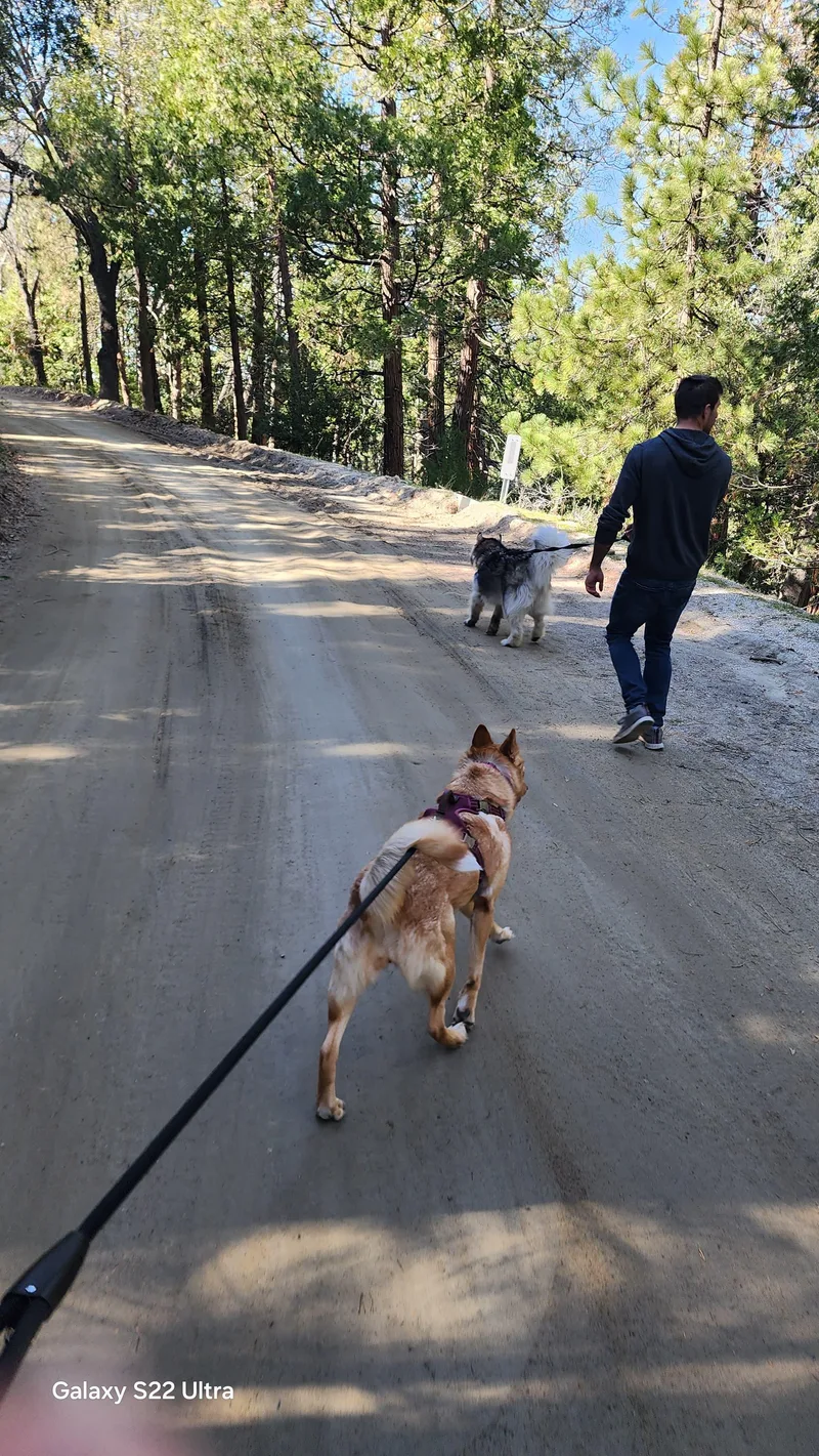 Francine thumbnail 6