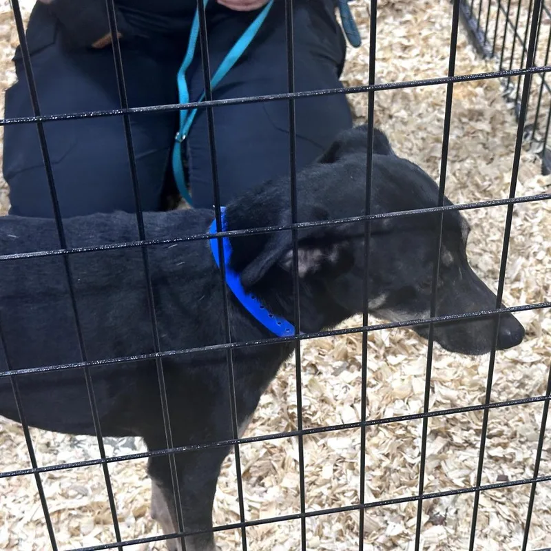 Palo Pinto thumbnail 2