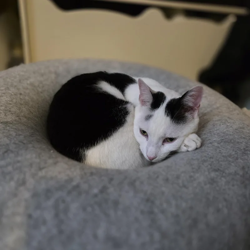 Ethan Allen thumbnail 2