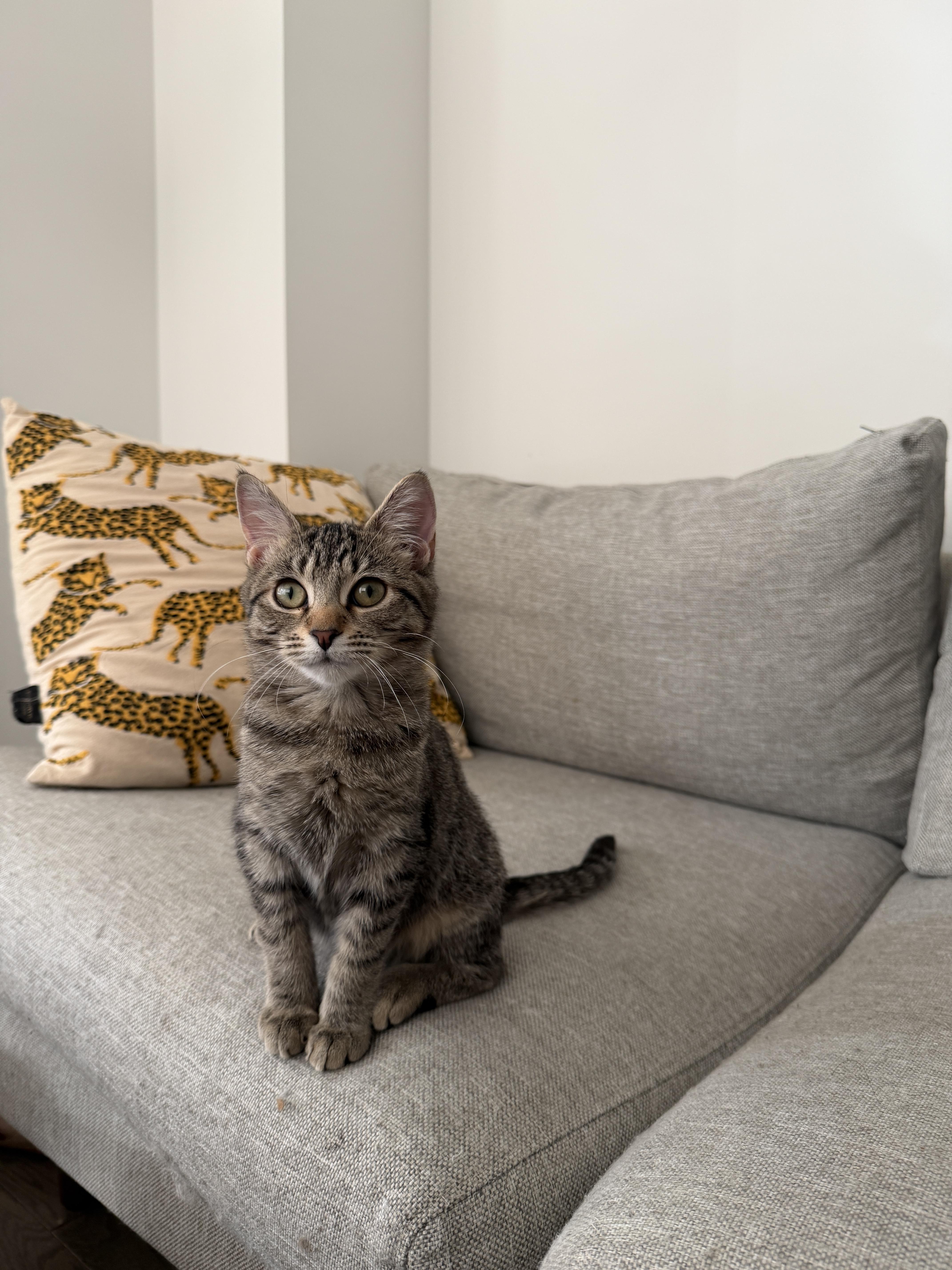 Button & Bobbin thumbnail 3