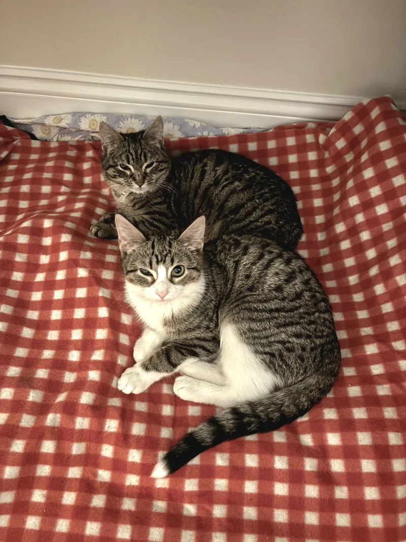 Patricia And Roseanna Arcat