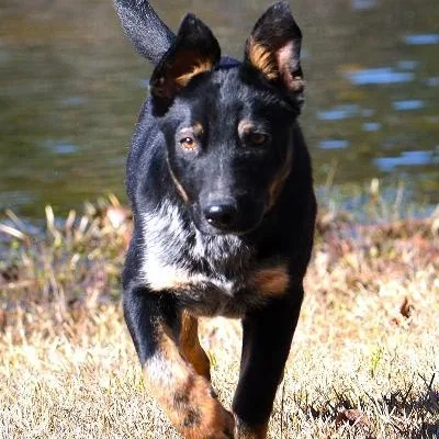 Broady  Well Behaved thumbnail 5