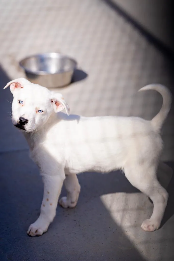 Joaquin Slowly thumbnail 2