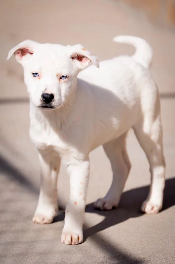 Joaquin Slowly thumbnail 3