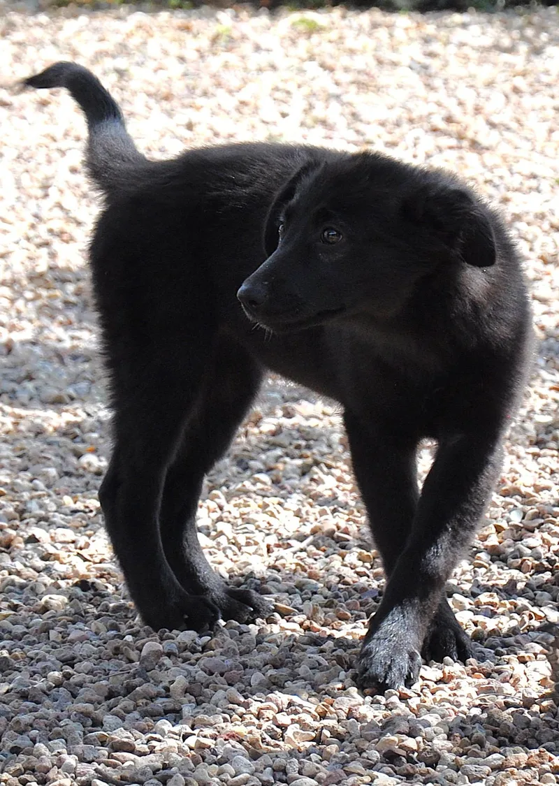 Tabitha thumbnail 3