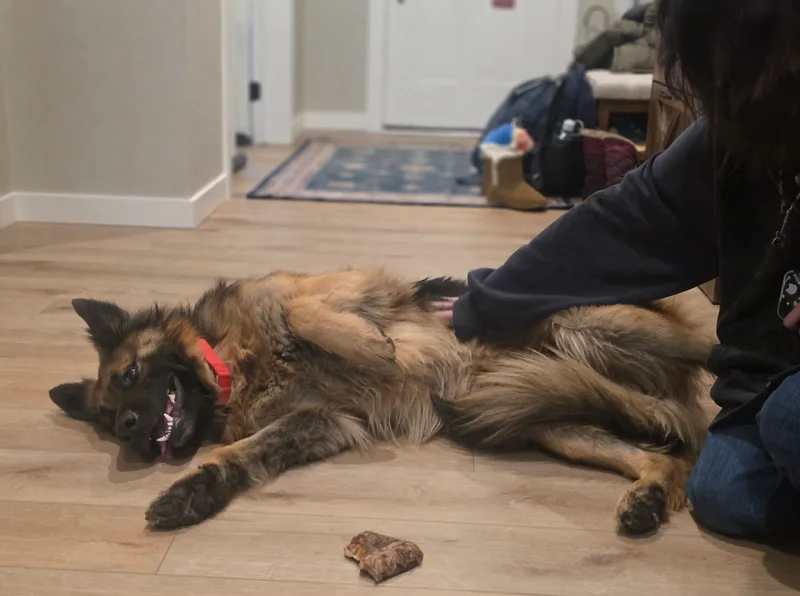 Charlie thumbnail 4