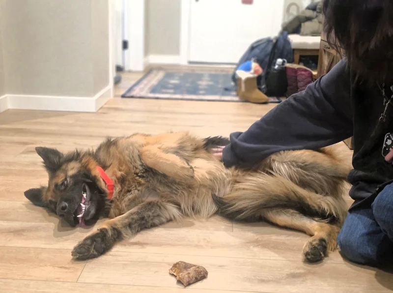 Charlie thumbnail 9