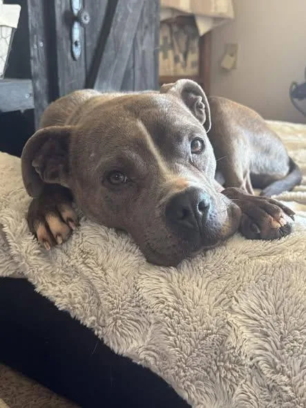 Ivoryivy thumbnail 2