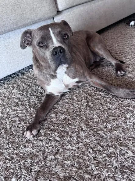 Ivoryivy thumbnail 3