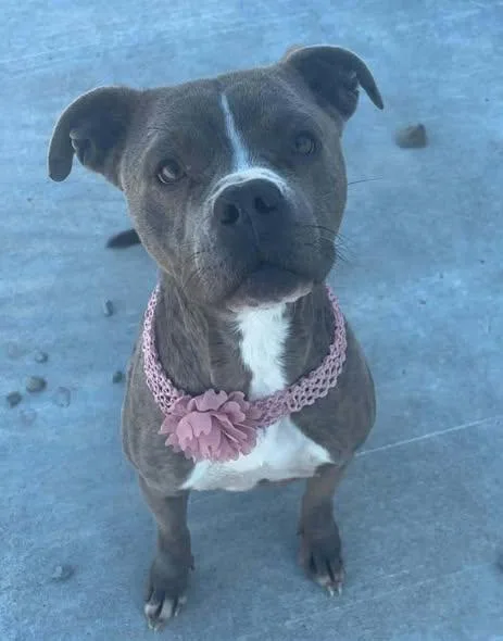 Ivoryivy thumbnail 4